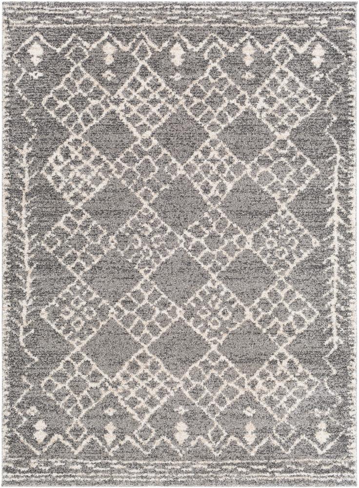 Livabliss - Andorra 53inx73in Machine Woven Rug - ARD2308-5373 veiw 1