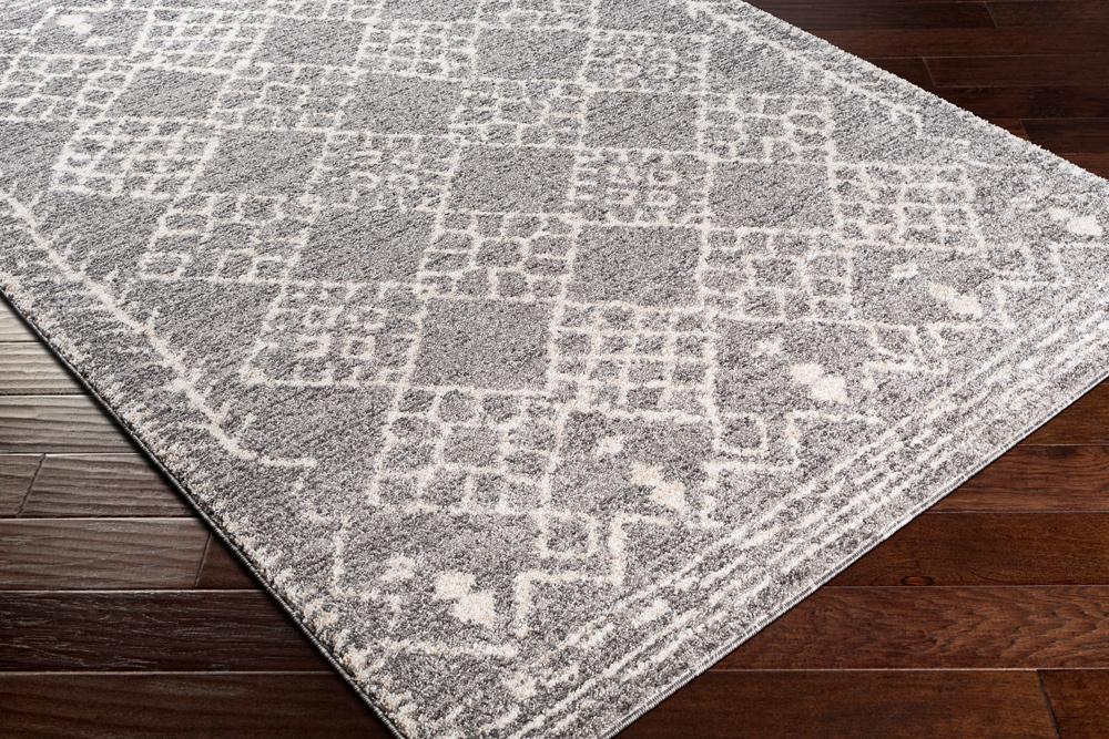 Livabliss - Andorra 67inx9 Machine Woven Rug - ARD2308-679 veiw 3