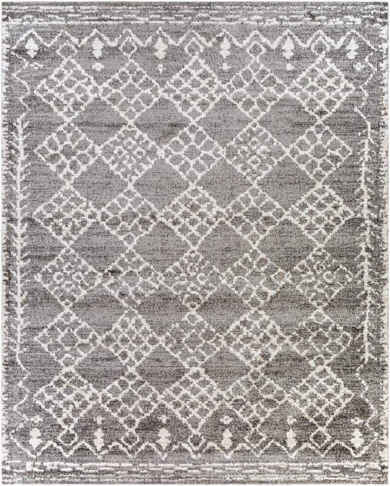 Livabliss - Andorra 710inx10 Machine Woven Rug - ARD2308-71010 veiw 1