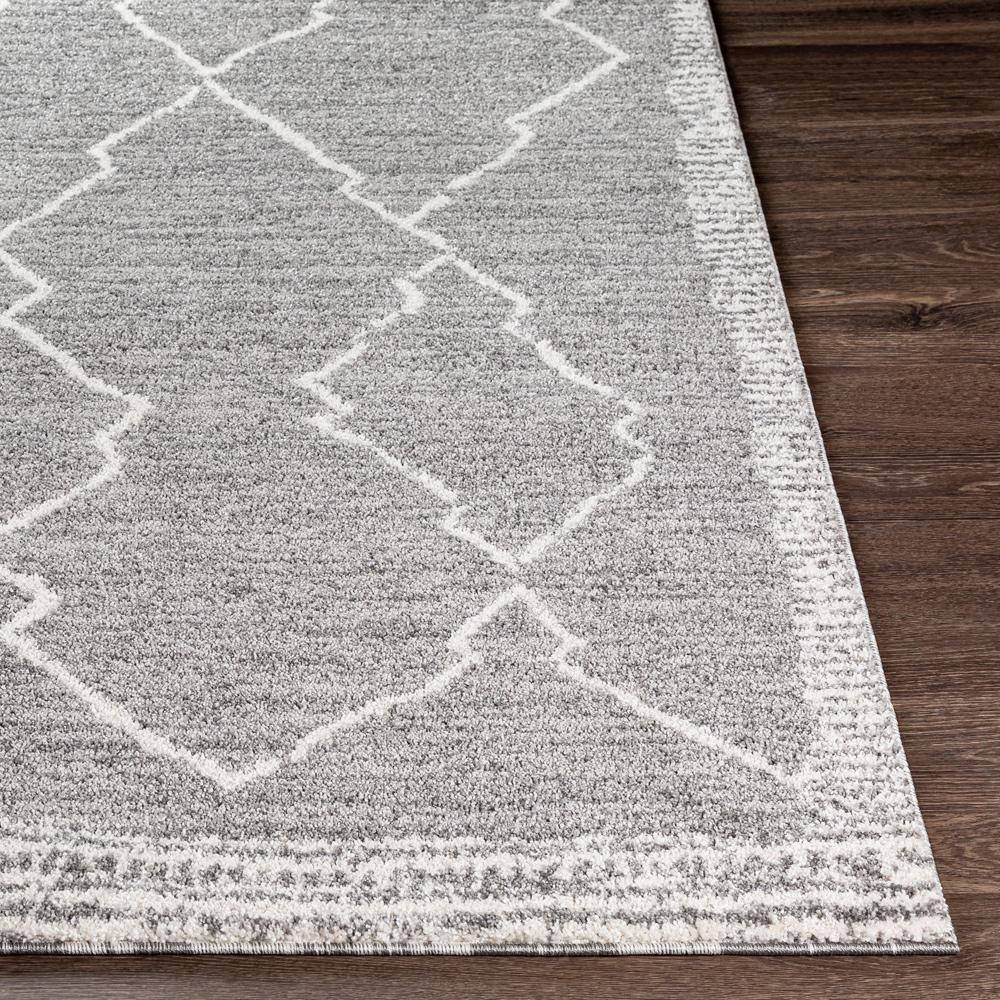Livabliss - Andorra 2x211in Machine Woven Rug - ARD2309-23 veiw 4