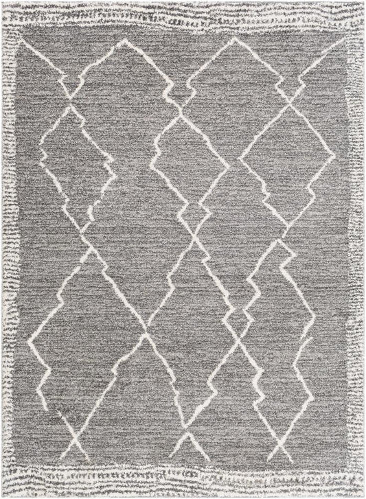 Livabliss - Andorra 53inx73in Machine Woven Rug - ARD2309-5373 veiw 1