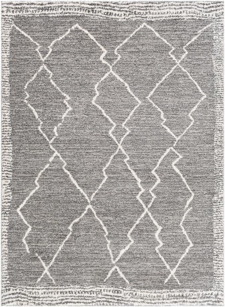Livabliss - Andorra 67inx9 Machine Woven Rug - ARD2309-679 veiw 1