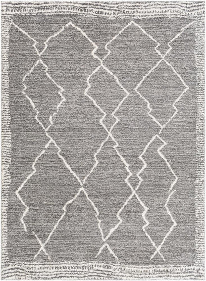 Livabliss - Andorra 67inx9 Machine Woven Rug - ARD2309-679 veiw 1