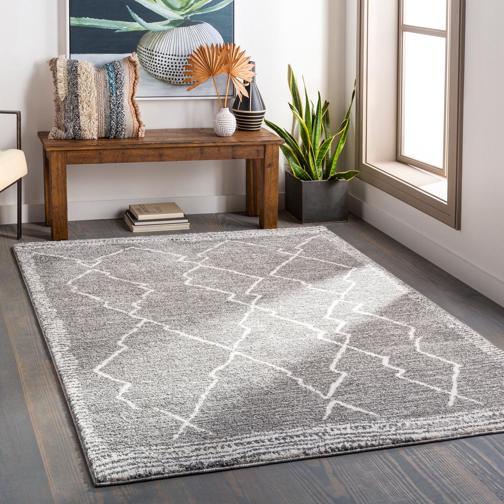 Livabliss - Andorra 67inx9 Machine Woven Rug - ARD2309-679 veiw 2