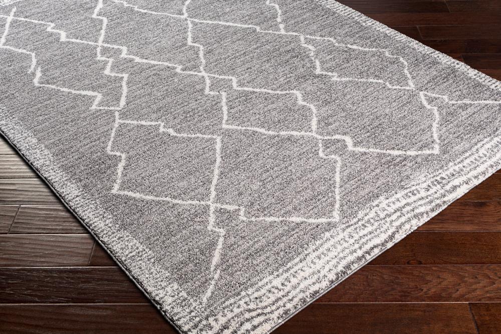 Livabliss - Andorra 710inx10 Machine Woven Rug - ARD2309-71010 veiw 3