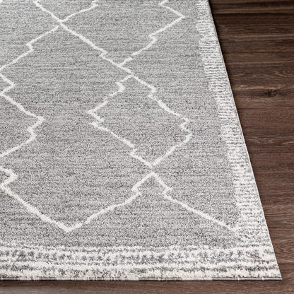 Livabliss - Andorra 710inx10 Machine Woven Rug - ARD2309-71010 veiw 4