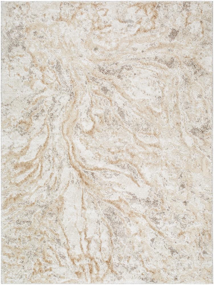 Livabliss - Andorra Plus 53inx73in Machine Woven Rug - ARP2300-5373 veiw 1