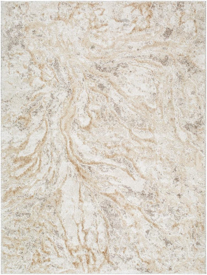 Livabliss - Andorra Plus 53inx73in Machine Woven Rug - ARP2300-5373 veiw 1