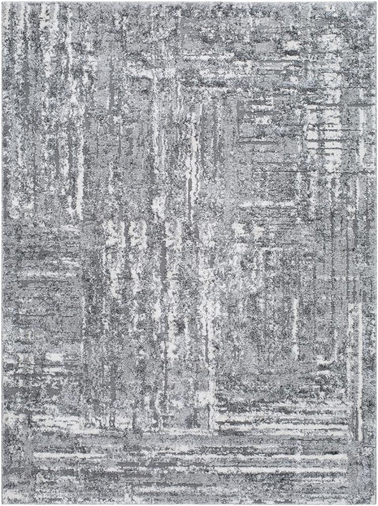 Livabliss - Andorra Plus 2x211in Machine Woven Rug - ARP2304-2211 veiw 1