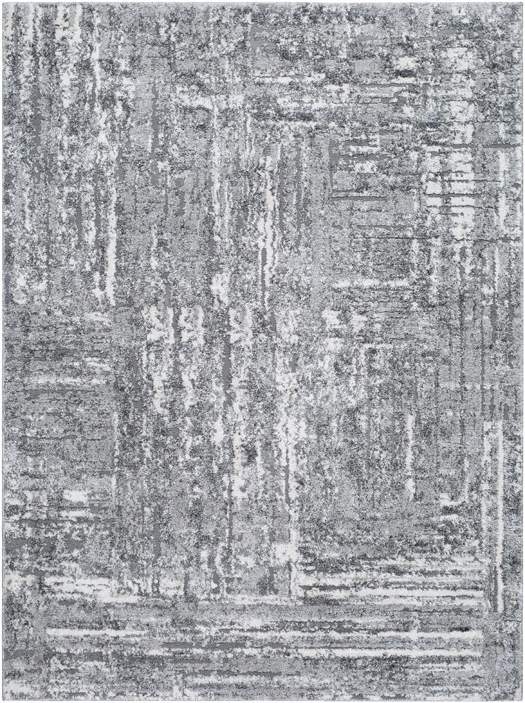 Livabliss - Andorra Plus 53inx73in Machine Woven Rug - ARP2304-5373 veiw 1