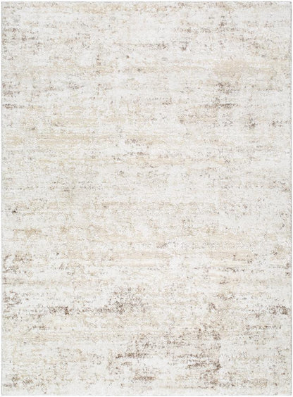 Livabliss - Andorra Plus 53inx73in Machine Woven Rug - ARP2305-5373 veiw 1