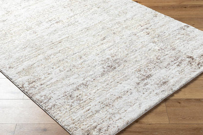 Livabliss - Andorra Plus 53inx73in Machine Woven Rug - ARP2305-5373 veiw 3