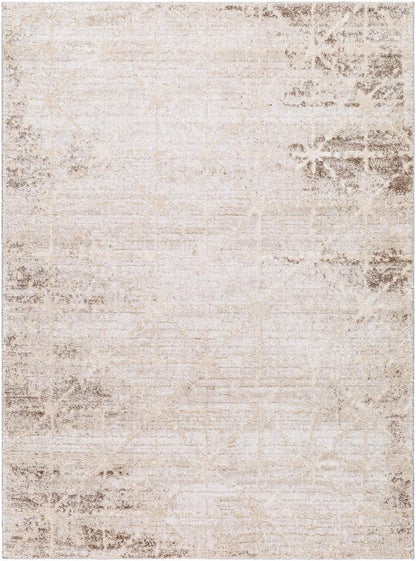 Livabliss - Andorra Plus 2x211in Machine Woven Rug - ARP2306-2211 veiw 1