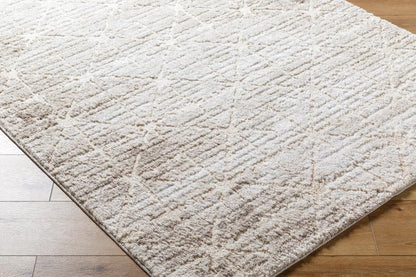 Livabliss - Andorra Plus 2x211in Machine Woven Rug - ARP2306-2211 veiw 2