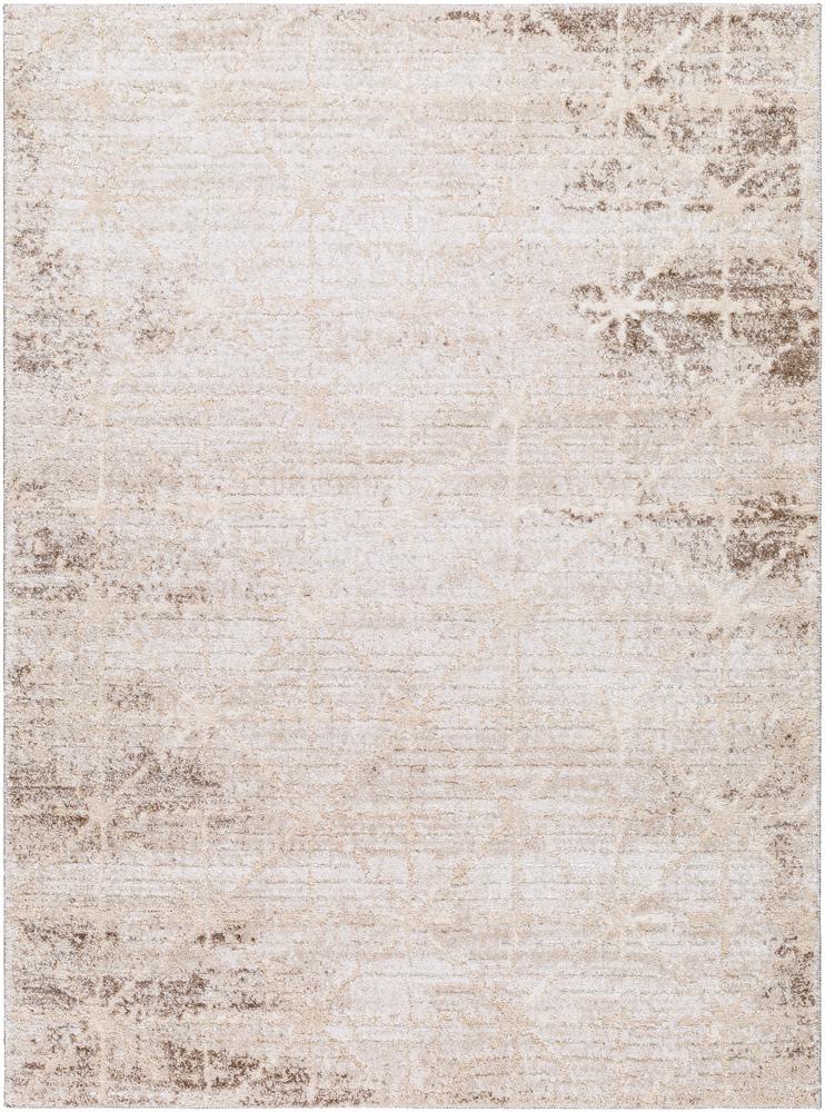 Livabliss - Andorra Plus 710inx10 Machine Woven Rug - ARP2306-71010 veiw 1