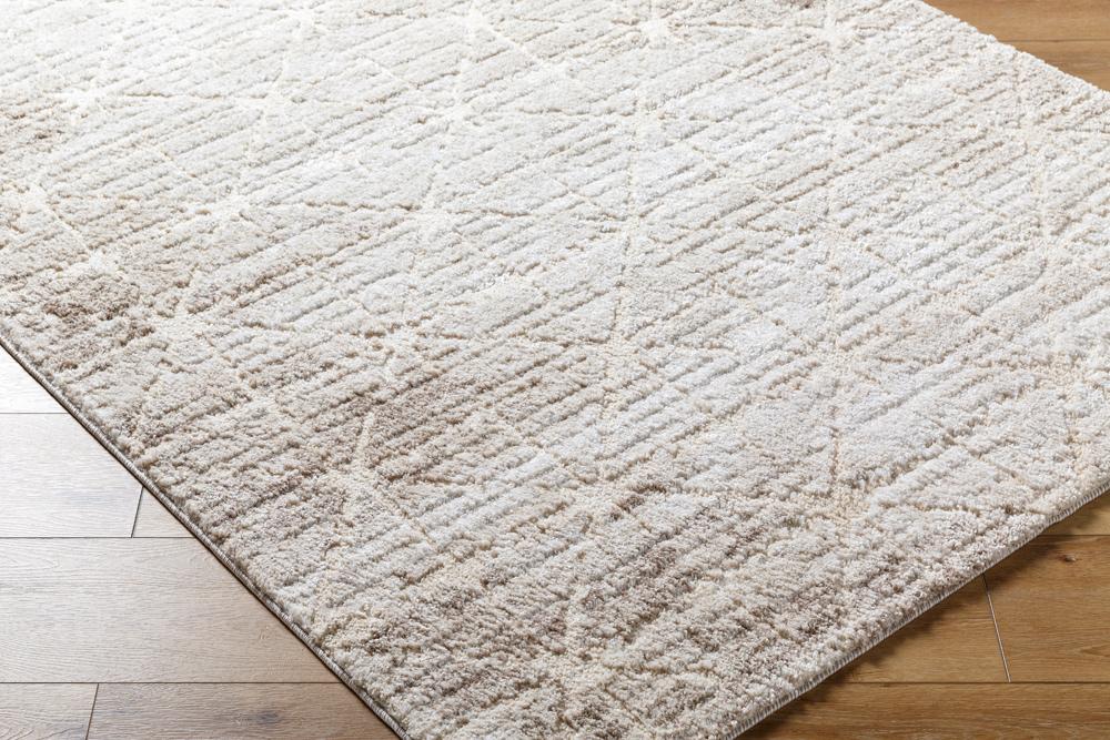 Livabliss - Andorra Plus 710inx10 Machine Woven Rug - ARP2306-71010 veiw 3