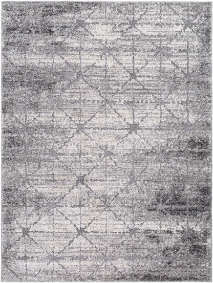Livabliss - Andorra Plus 2x211in Machine Woven Rug - ARP2307-2211 veiw 1