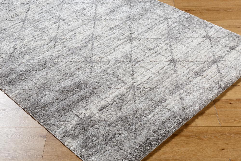 Livabliss - Andorra Plus 2x211in Machine Woven Rug - ARP2307-2211 veiw 3