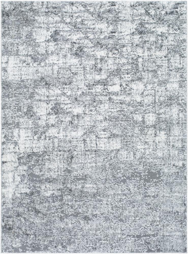 Livabliss - Andorra Plus 2x211in Machine Woven Rug - ARP2308-2211 veiw 1