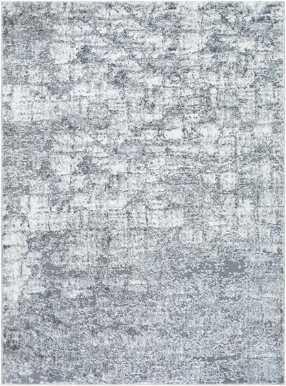 Livabliss - Andorra Plus 2x211in Machine Woven Rug - ARP2308-2211 veiw 1