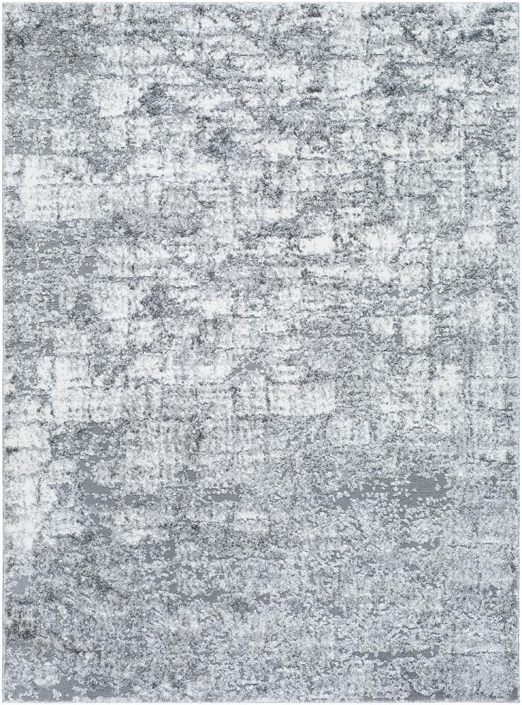 Livabliss - Andorra Plus 53inx73in Machine Woven Rug - ARP2308-5373 veiw 1