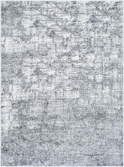Livabliss - Andorra Plus 53inx73in Machine Woven Rug - ARP2308-5373 veiw 1