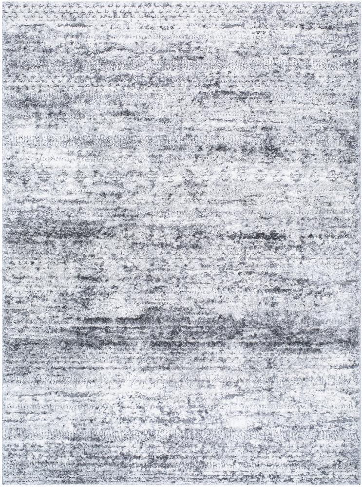 Livabliss - Andorra Plus 710inx10 Machine Woven Rug - ARP2311-71010 veiw 1