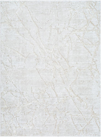Livabliss - Andorra Plus 2x211in Machine Woven Rug - ARP2312-2211 veiw 1
