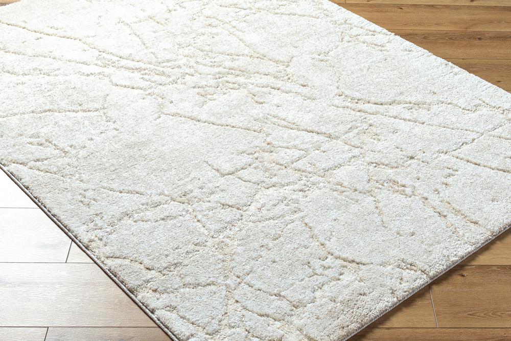 Livabliss - Andorra Plus 2x211in Machine Woven Rug - ARP2312-2211 veiw 3