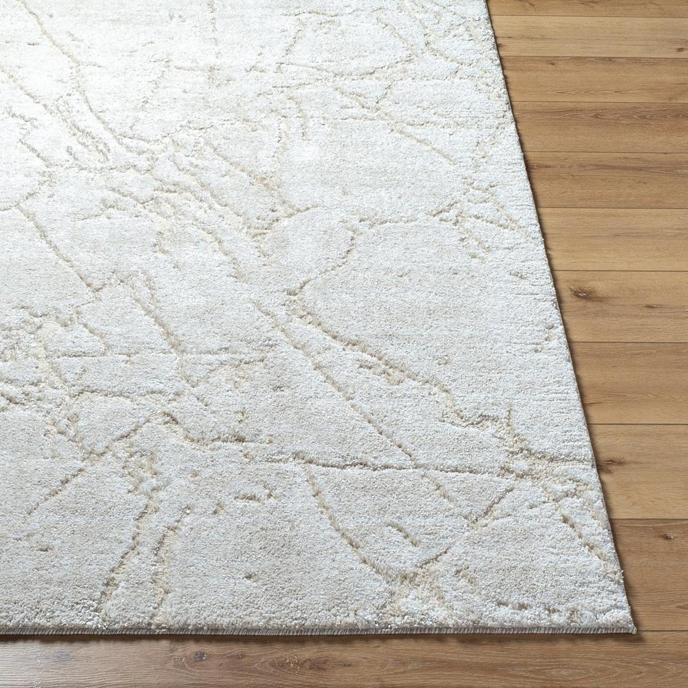 Livabliss - Andorra Plus 2x211in Machine Woven Rug - ARP2312-2211 veiw 4