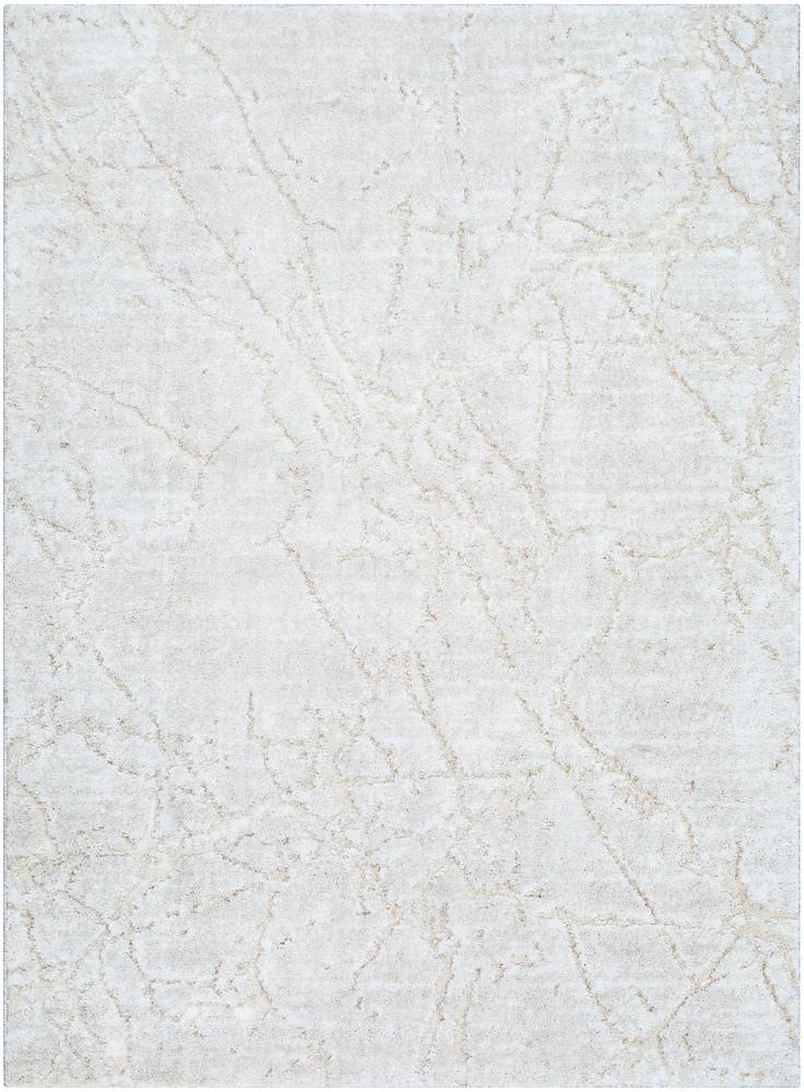 Livabliss - Andorra Plus 53inx73in Machine Woven Rug - ARP2312-5373 veiw 1