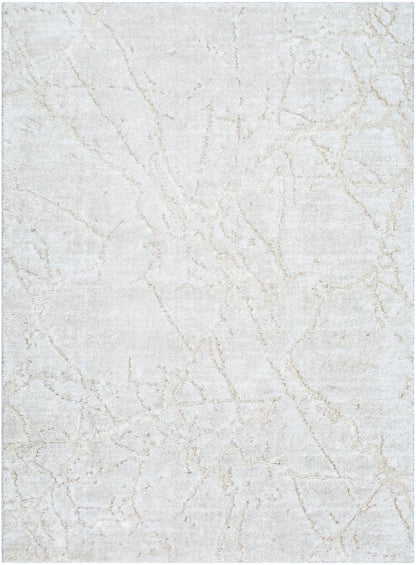 Livabliss - Andorra Plus 53inx73in Machine Woven Rug - ARP2312-5373 veiw 1
