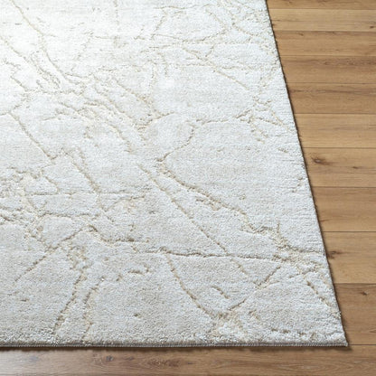 Livabliss - Andorra Plus 53inx73in Machine Woven Rug - ARP2312-5373 veiw 4