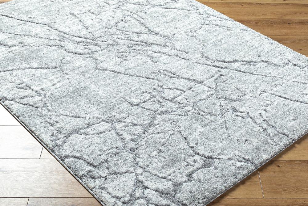 Livabliss - Andorra Plus 2x211in Machine Woven Rug - ARP2313-2211 veiw 3