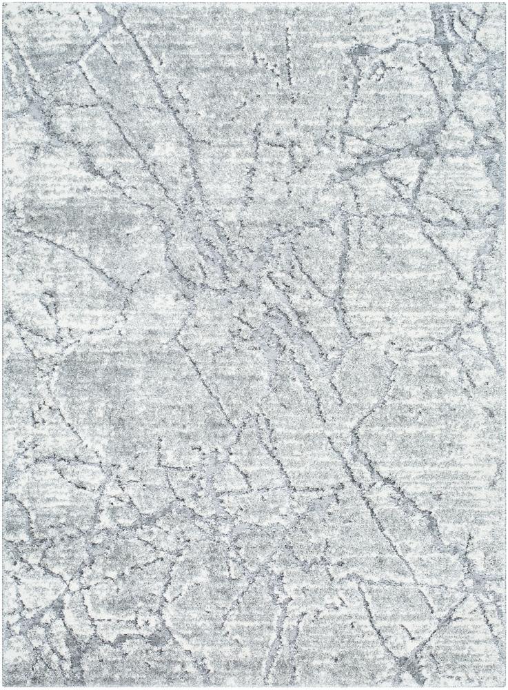 Livabliss - Andorra Plus 53inx73in Machine Woven Rug - ARP2313-5373 veiw 1
