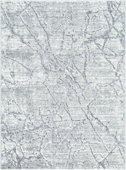 Livabliss - Andorra Plus 53inx73in Machine Woven Rug - ARP2313-5373 veiw 1