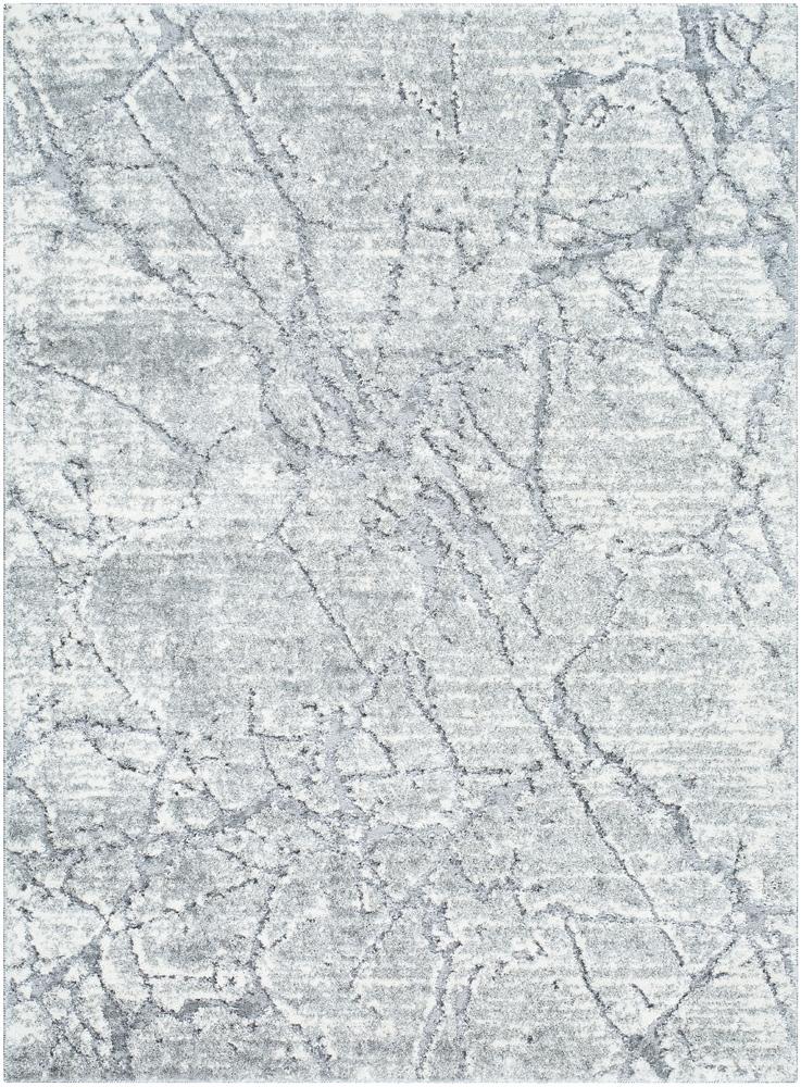 Livabliss - Andorra Plus 710inx10 Machine Woven Rug - ARP2313-71010 veiw 1