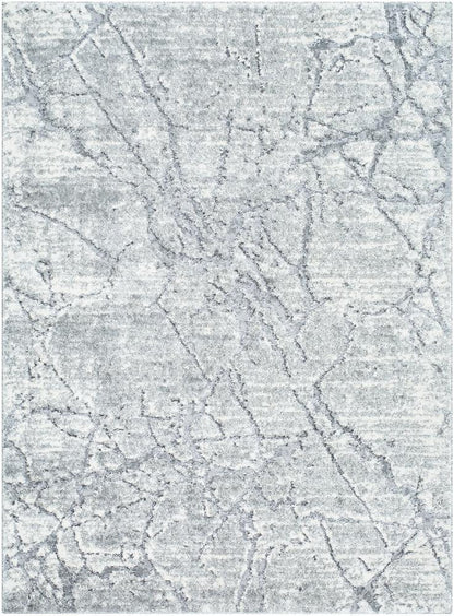 Livabliss - Andorra Plus 710inx10 Machine Woven Rug - ARP2313-71010 veiw 1