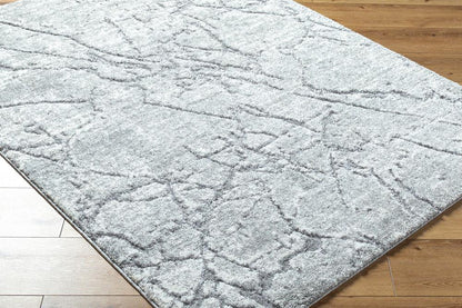 Livabliss - Andorra Plus 710inx10 Machine Woven Rug - ARP2313-71010 veiw 3