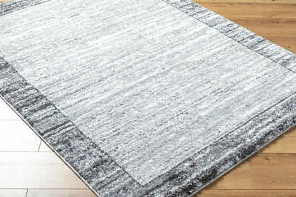 Livabliss - Andorra Plus 2x211in Machine Woven Rug - ARP2314-2211 veiw 3