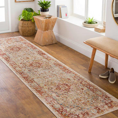 Livabliss - Aspendos 27inx10 Machine Woven Rug - APS2308-2710 veiw 2