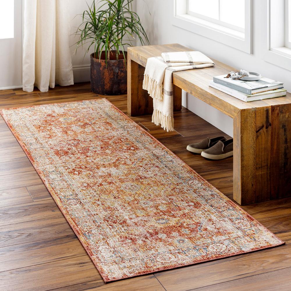 Livabliss - Aspendos 27inx10 Machine Woven Rug - APS2316-2710 veiw 2