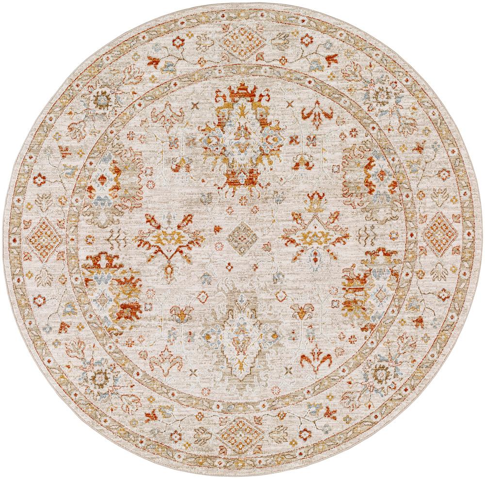 Livabliss - Avant Garde 53inx53in Machine Woven Rug - AVT2311-53RD veiw 1