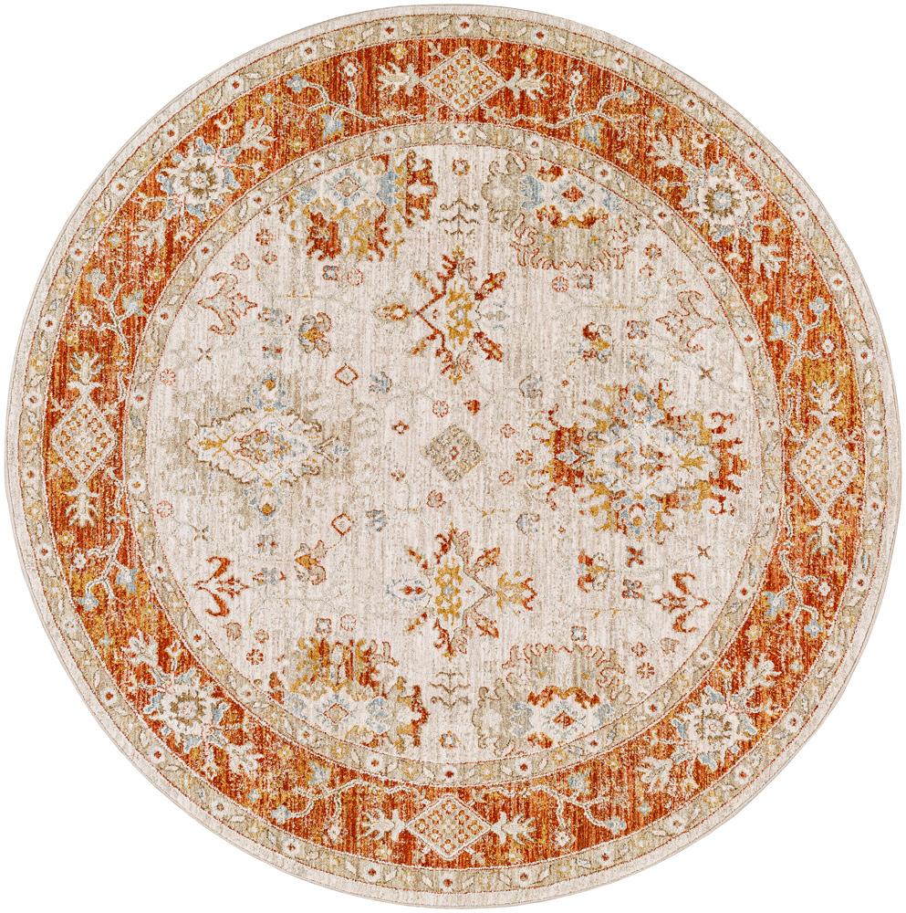 Livabliss - Avant Garde 53inx53in Machine Woven Rug - AVT2312-53RD veiw 1