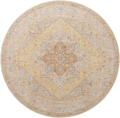 Livabliss - Avant Garde 53inx53in Machine Woven Rug - AVT2363-53RD veiw 1