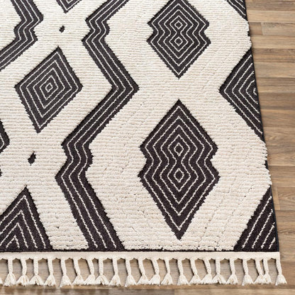 Livabliss - Azilal 53inx73in Machine Woven Rug - AZI2300-5373 veiw 5