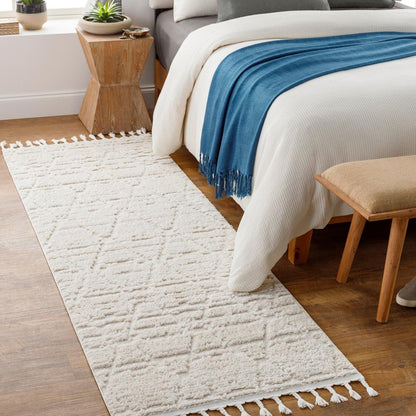 Livabliss - Azilal 27inx73in Machine Woven Rug - AZI2318-2773 veiw 2
