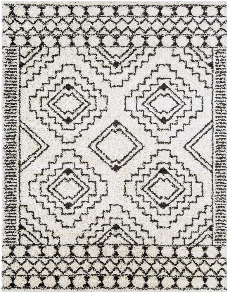 Livabliss - Beni Shag 710inx10 Machine Woven Rug - BSH2300-71010 veiw 1
