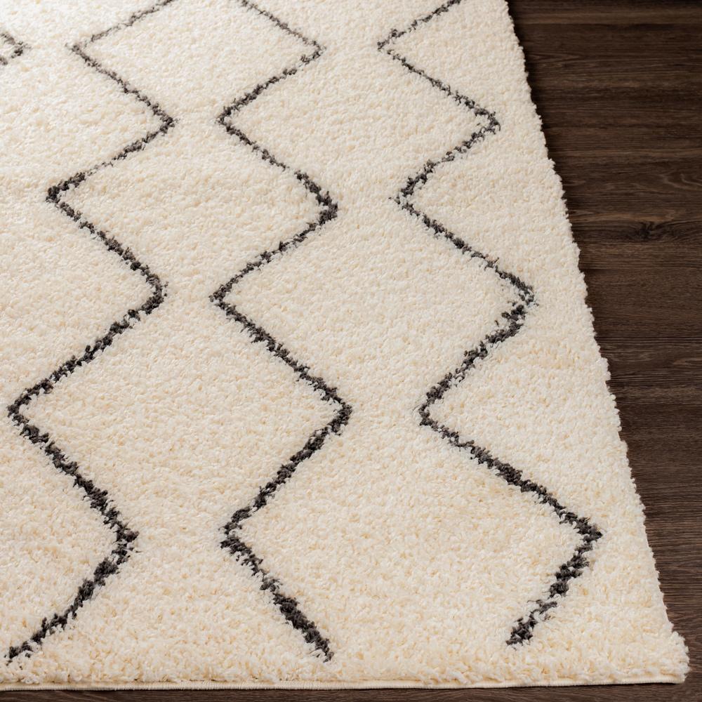 Livabliss - Beni Shag 67inx9 Machine Woven Rug - BSH2302-679_CLOSEOUT veiw 5