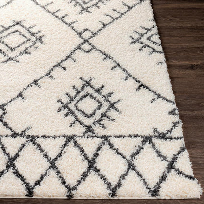 Livabliss - Beni Shag 67inx9 Machine Woven Rug - BSH2303-679_CLOSEOUT veiw 5